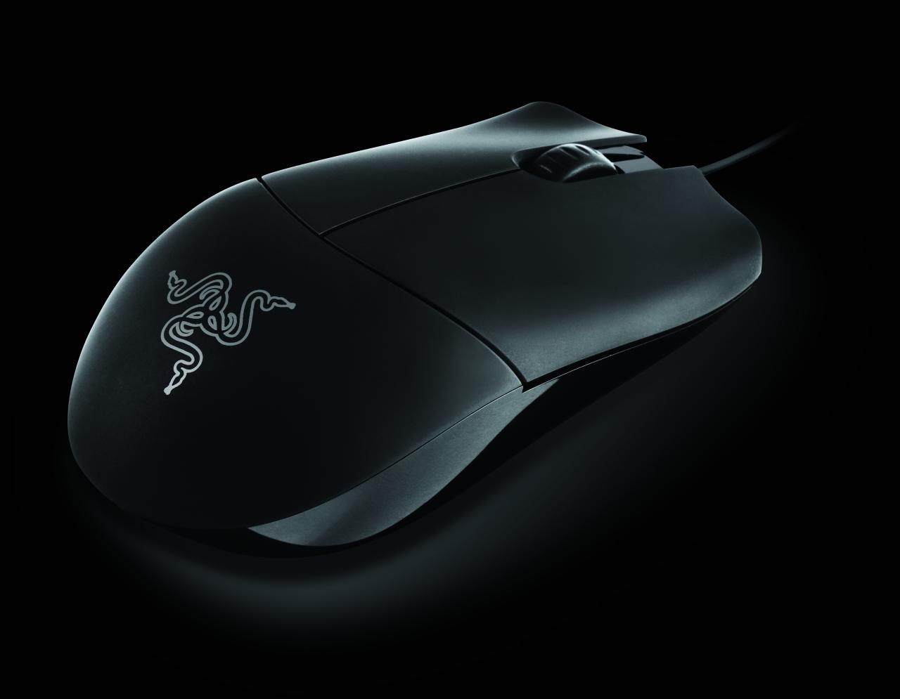 [01/08/2008] Razer Salmosa