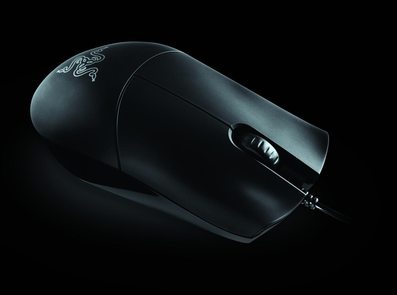 [01/08/2008] Razer Salmosa