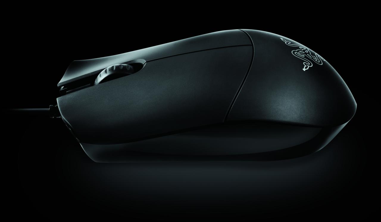 [01/08/2008] Razer Salmosa