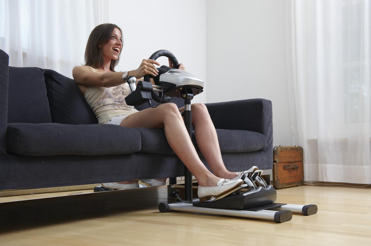 [19/09/2008] Fanatec Wheel Stand für circa 100 Euro.