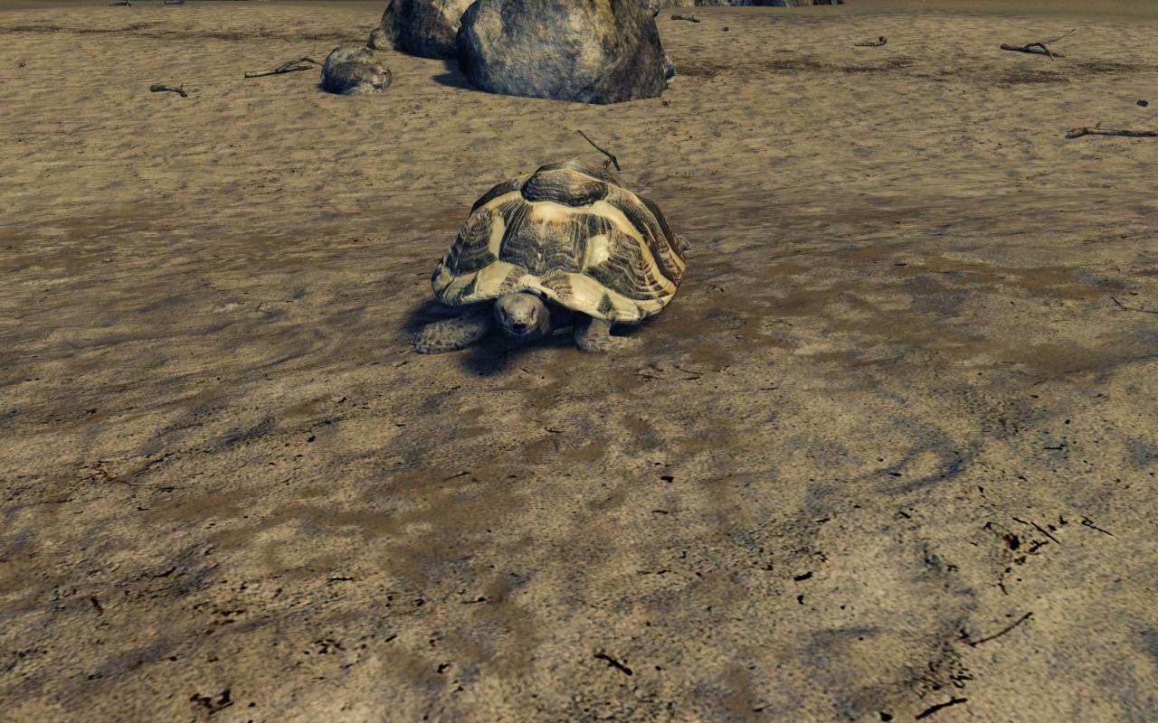 [19/09/2008] Catalyst 8.12-Hotfix stellt mit D3D10 kein 16:1 AF dar