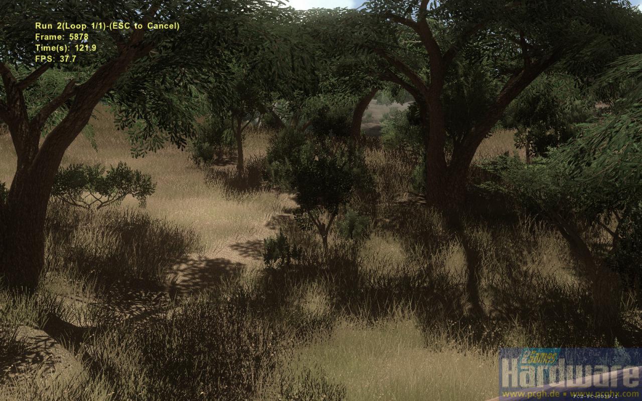 [16/10/2008] Szene aus dem Far Cry 2 Benchmark