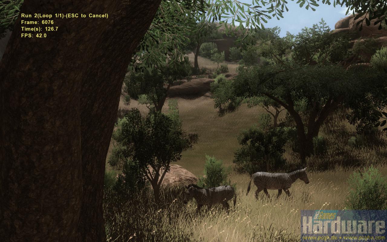 [16/10/2008] Szene aus dem Far Cry 2 Benchmark