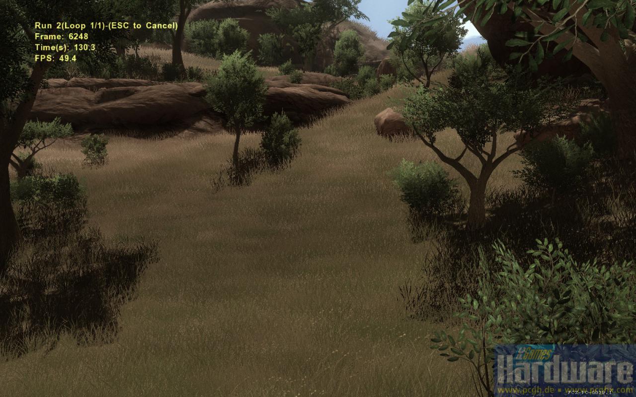 [16/10/2008] Szene aus dem Far Cry 2 Benchmark
