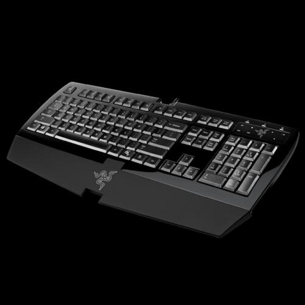 [08/10/2008] Razer Arctosa Silver Edition (Bild: Razer)
