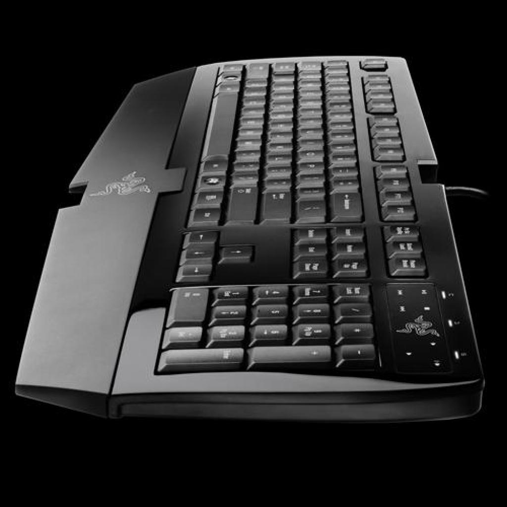 [08/10/2008] Razer Arctosa Silver Edition (Bild: Razer)