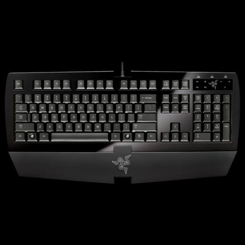[08/10/2008] Razer Arctosa Silver Edition (Bild: Razer)