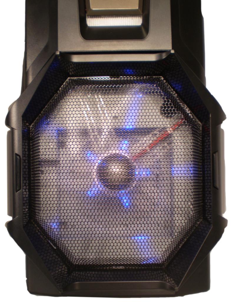 [23/10/2008] Das 250-Millimeter-Exemplar in der Front leuchtet blau.