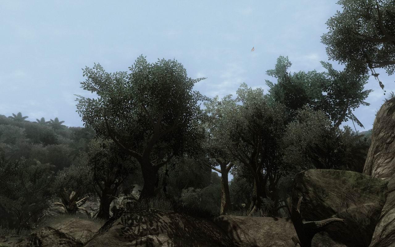 [24/10/2008] Far Cry 2: Eines der Spiele, das Probleme unter Windows 7 macht (4)