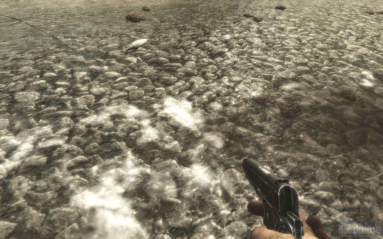 [13/11/2008] 