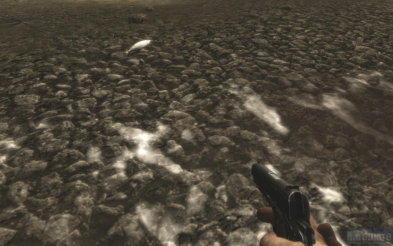 [13/11/2008] 