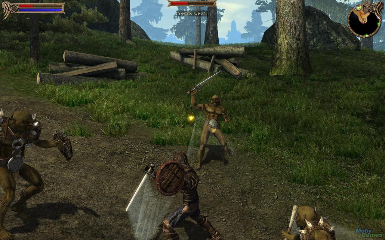 [20/11/2008] Die wohl besten Fantasy-Spiele für den PC aus drei Jahrzenten (Teil 3: 2000 bis heute): Two Worlds, 2007 (Bild: Mobygames.com) (19)