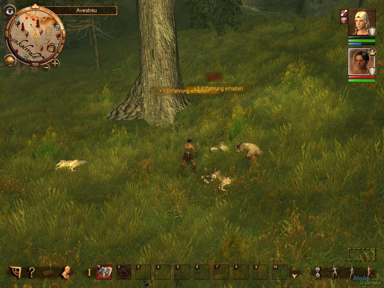 [20/11/2008] Die wohl besten Fantasy-Spiele für den PC aus drei Jahrzenten (Teil 3: 2000 bis heute): Drakensang, 2008 (Bild: Mobygames.com) (22)