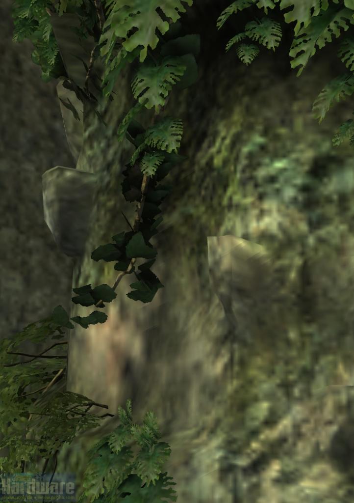 [03/11/2008] Tomb Raider - Underworld: Niedrige Oberflächenstruktur-Details