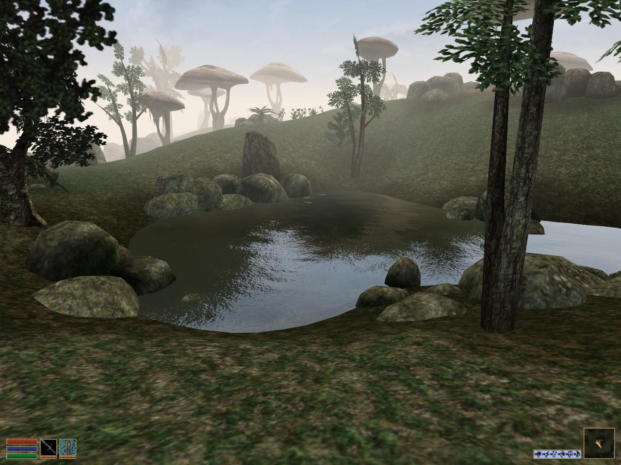 [18/11/2008] The Elder Scrolls 3: Morrowind zeigte dank Pixelshader 1.1 (DirectX 8) das berühmte Quecksilber-Wasser.