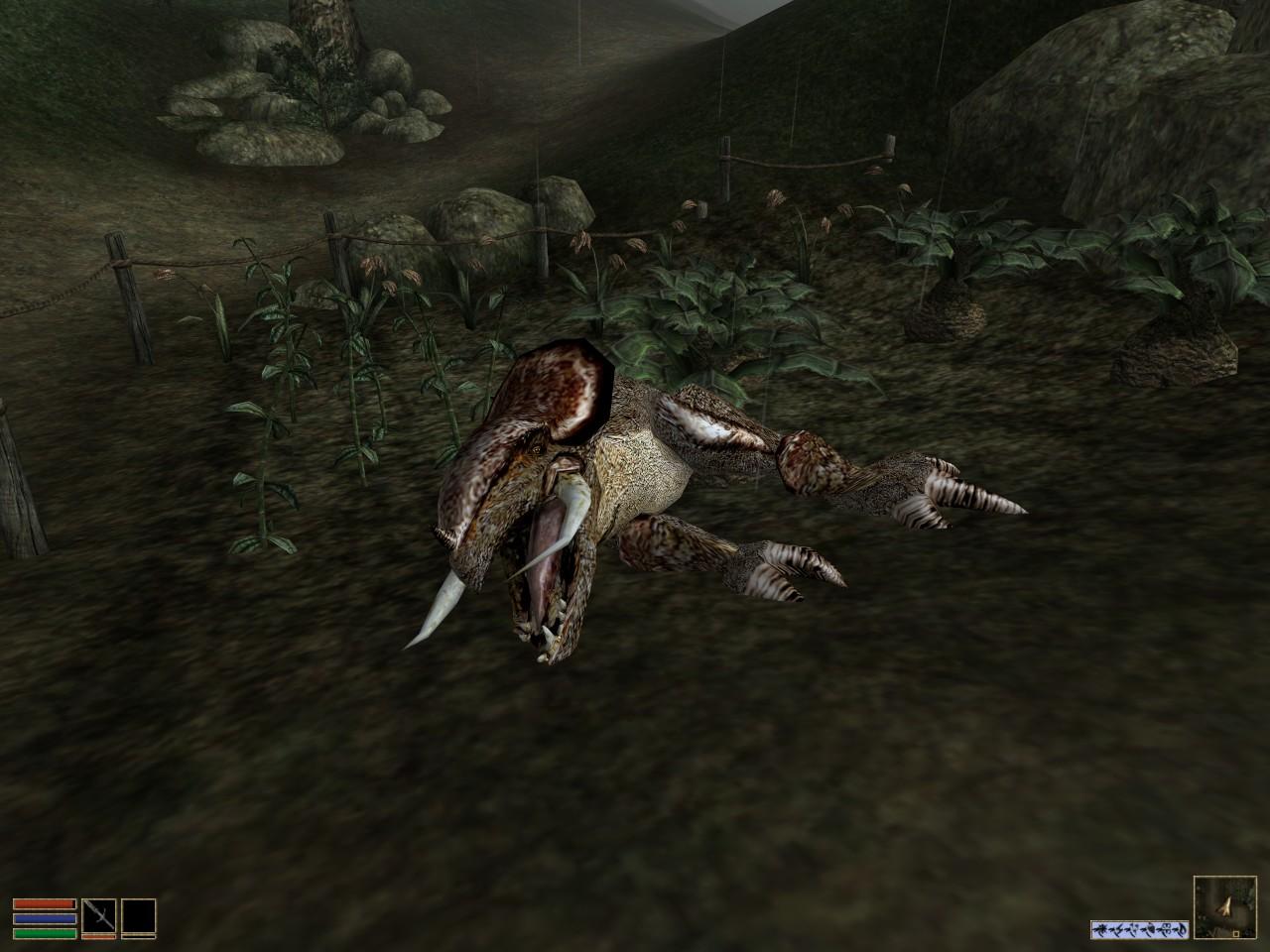 [18/11/2008] The Elder Scrolls III - Morrowind: Scharfe Monster-Texturen