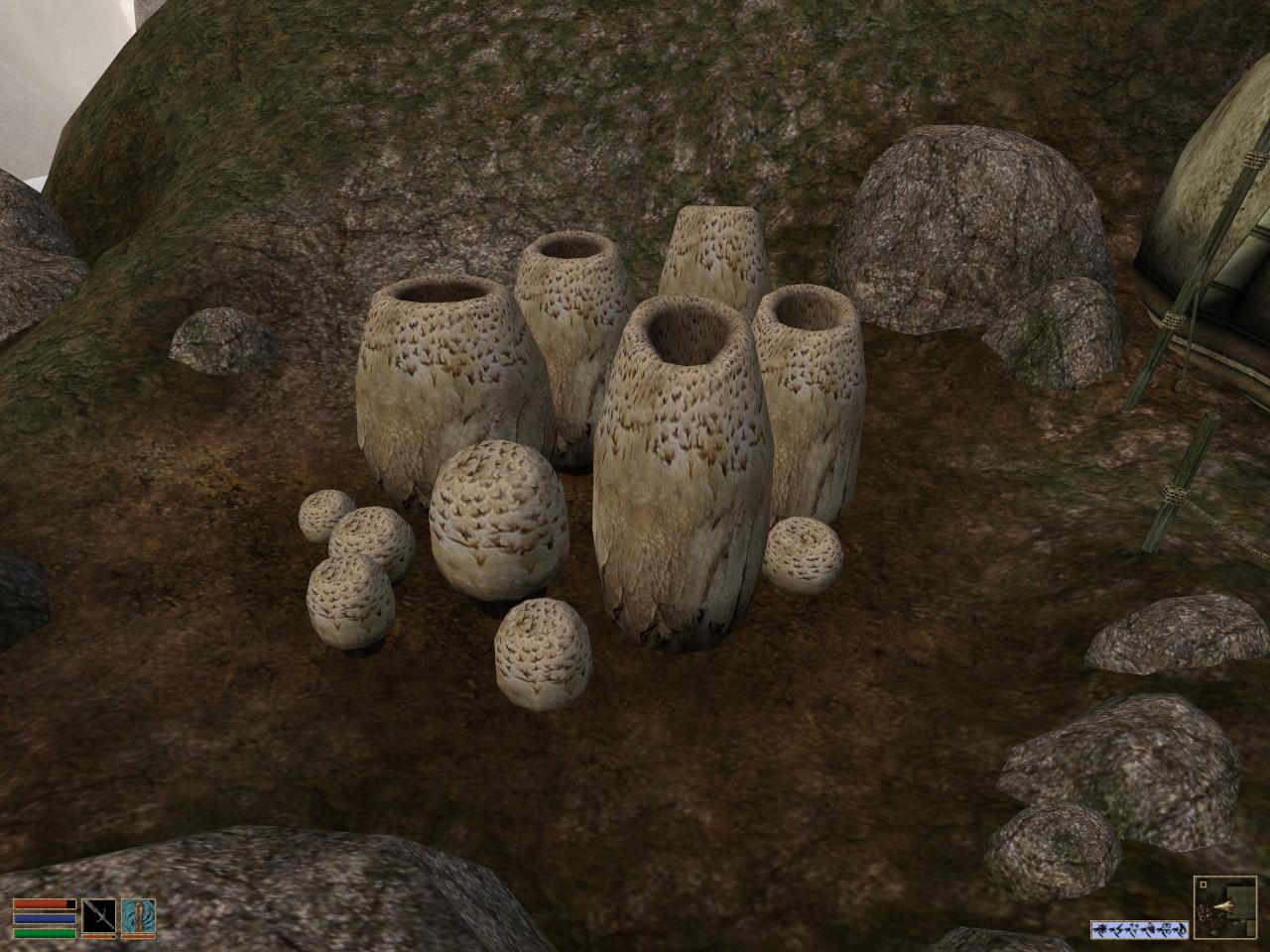 [18/11/2008] The Elder Scrolls III - Morrowind: Ungewöhnliche Vegetation