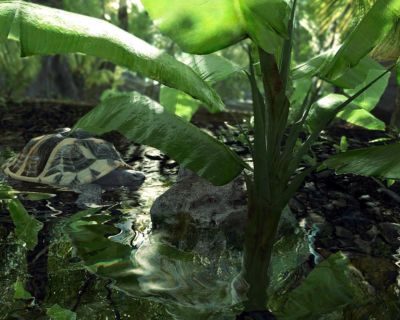 [29/11/2008] Crysis-Screenshot-Wettbewerb mit Nvidia und MSI