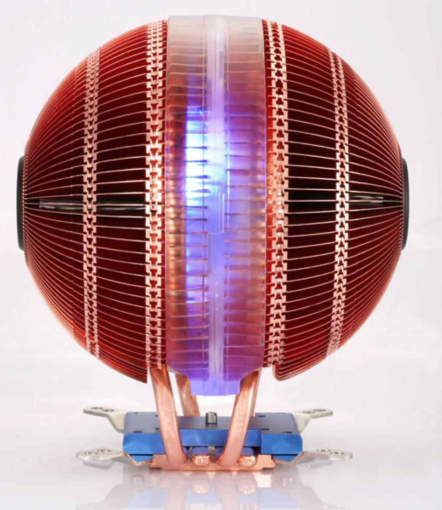 [05/11/2008] AVC Global Star (Bild: AVC)