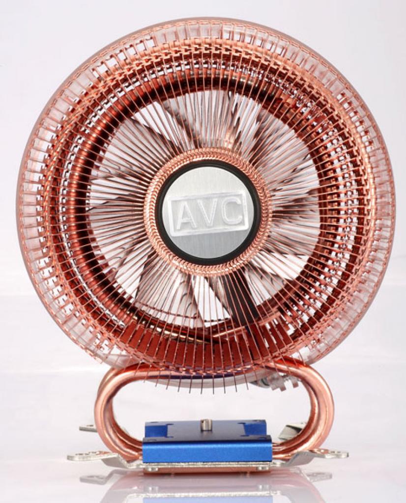 [05/11/2008] AVC Global Star (Bild: AVC)