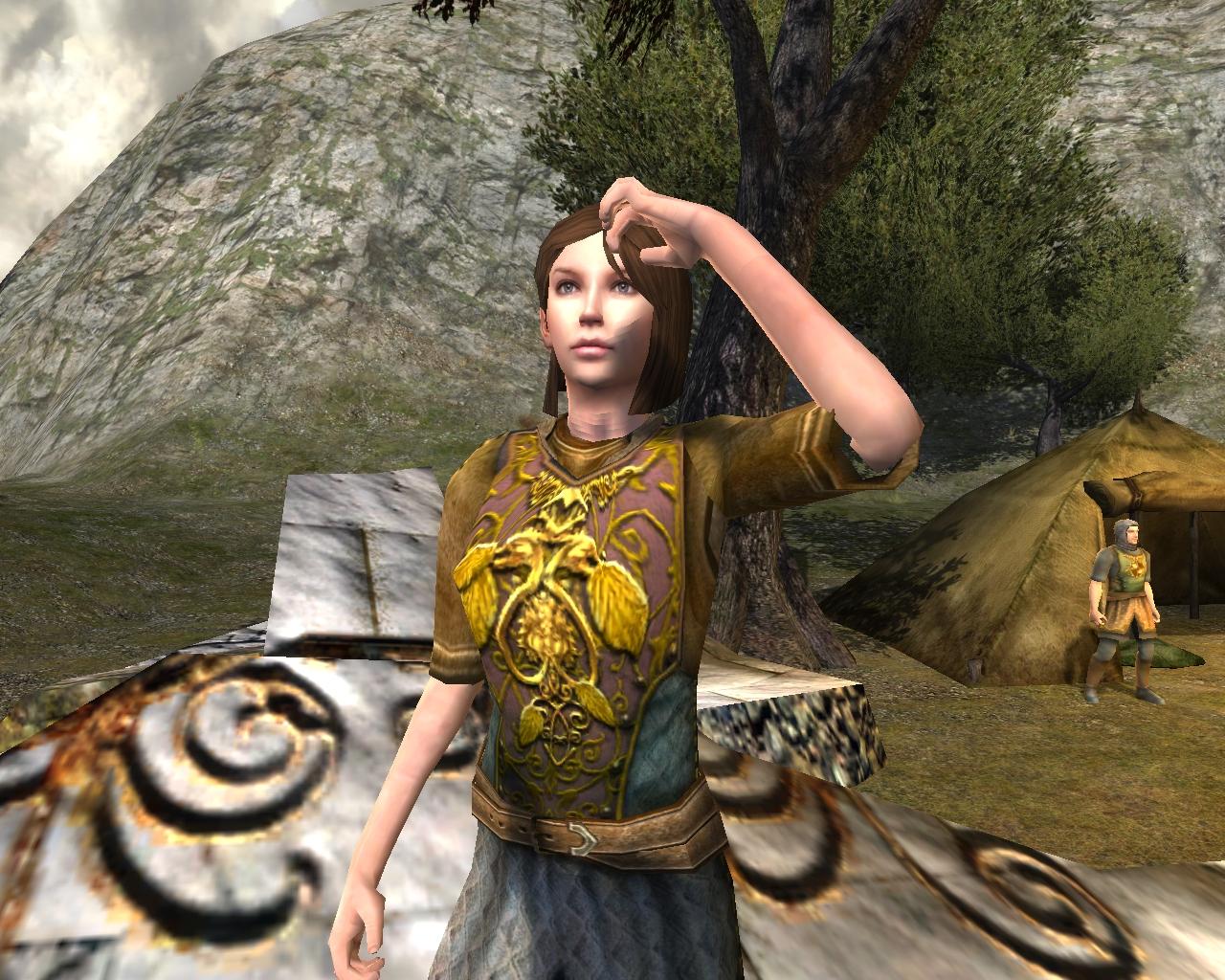 [20/11/2008] Der Herr der Ringe online (6)