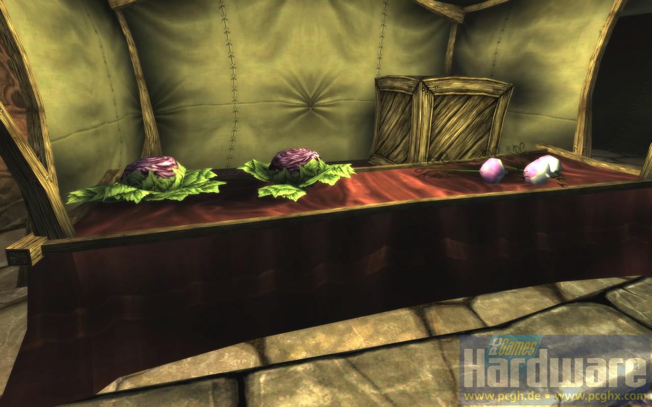 [01/12/2008] The Chronicles of Spellborn (Bild: PCGH) (26)