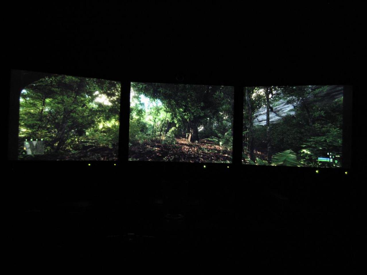 [15/12/2008] Triple-LCD-Setup für Spiele von geniv2 (Widescreen Gaming Forum) (7)