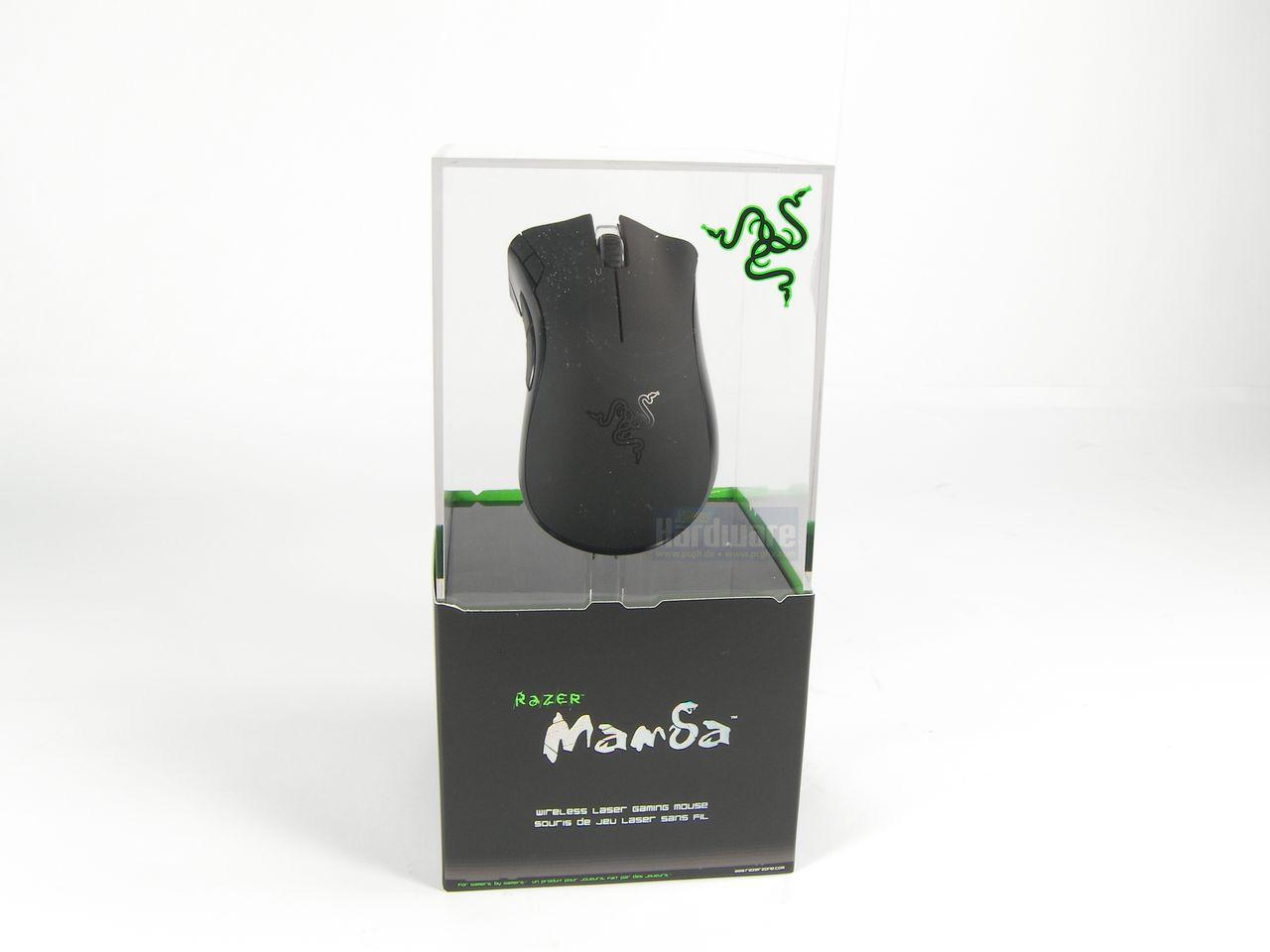 [29/01/2009] Razer Mamba (25)