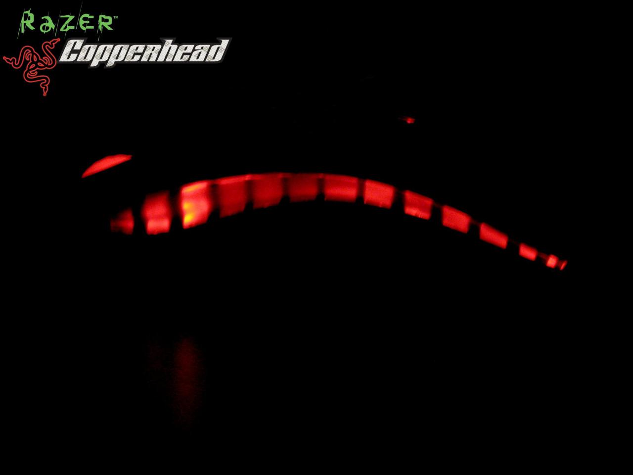 [12/01/2009] Lesertest Roccat Kone - Erste Bilder der Leser (7)