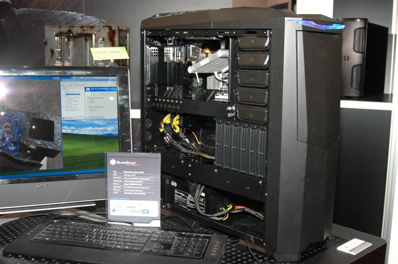 [20/01/2009] Silverstone Raven
