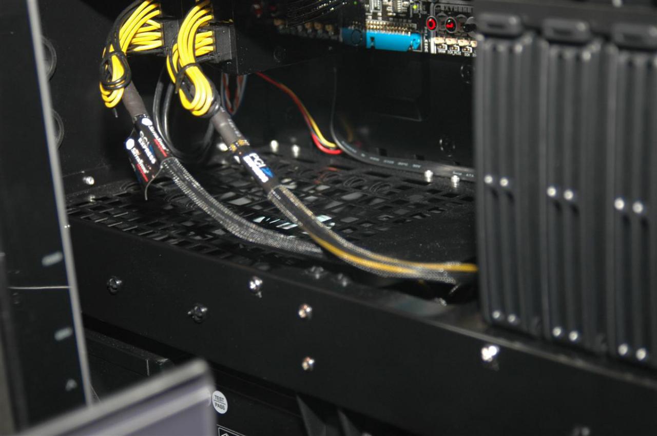 [20/01/2009] Silverstone Raven