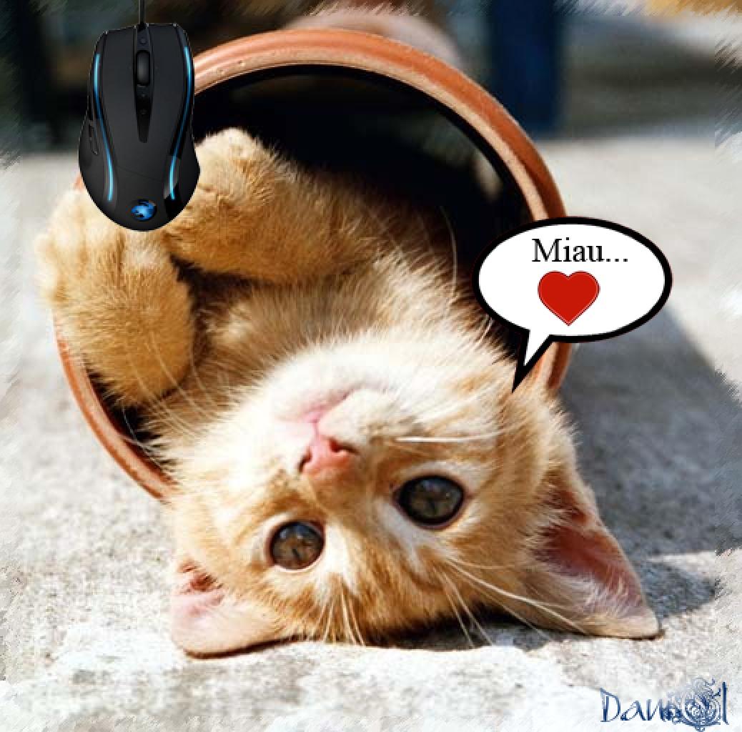 [12/01/2009] Lesertest Roccat Kone - Erste Bilder der Leser (8)