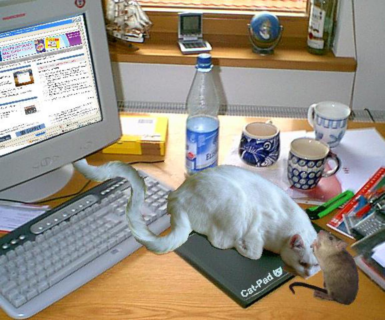 [17/01/2009] FlorianK