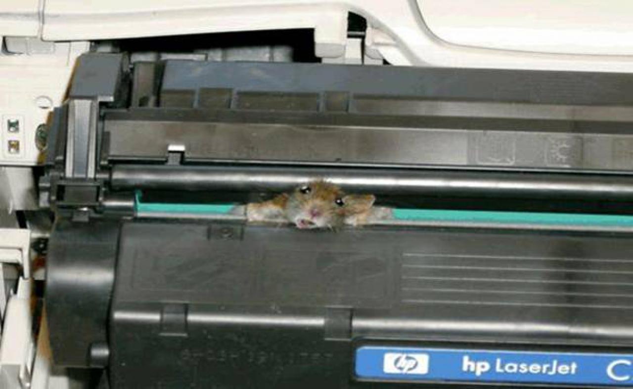 [12/01/2009] Lesertest Roccat Kone - Erste Bilder der Leser (12)