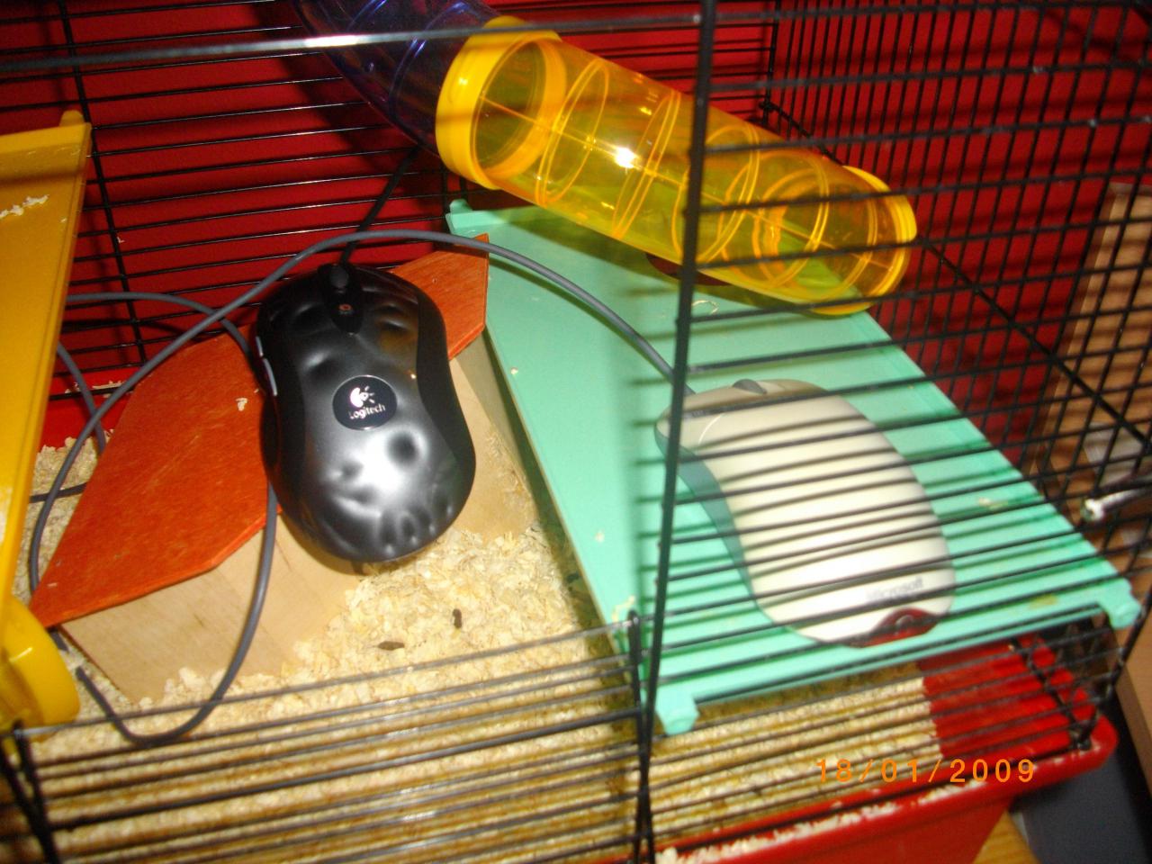 [30/01/2009] Userbilder Roccat Kone (8)