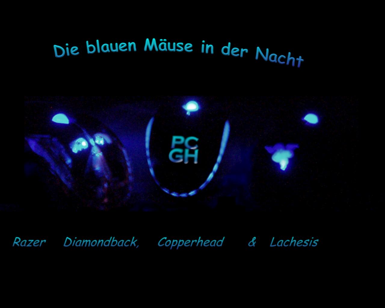 [12/01/2009] Lesertest Roccat Kone - Erste Bilder der Leser (13)