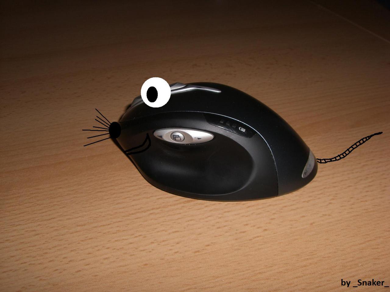 [12/01/2009] Lesertest Roccat Kone - Erste Bilder der Leser (15)