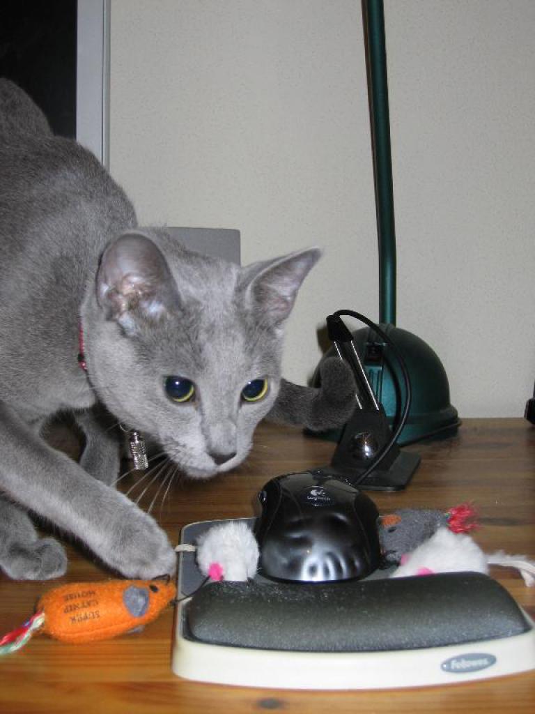 [26/01/2009] Lars H
