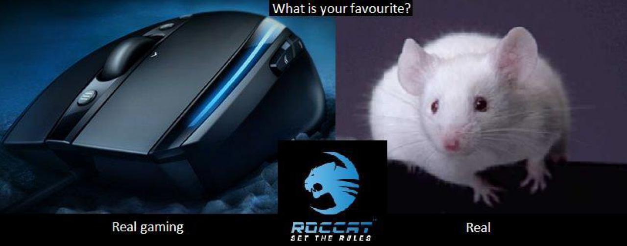 [12/01/2009] Lesertest Roccat Kone - Erste Bilder der Leser (19)