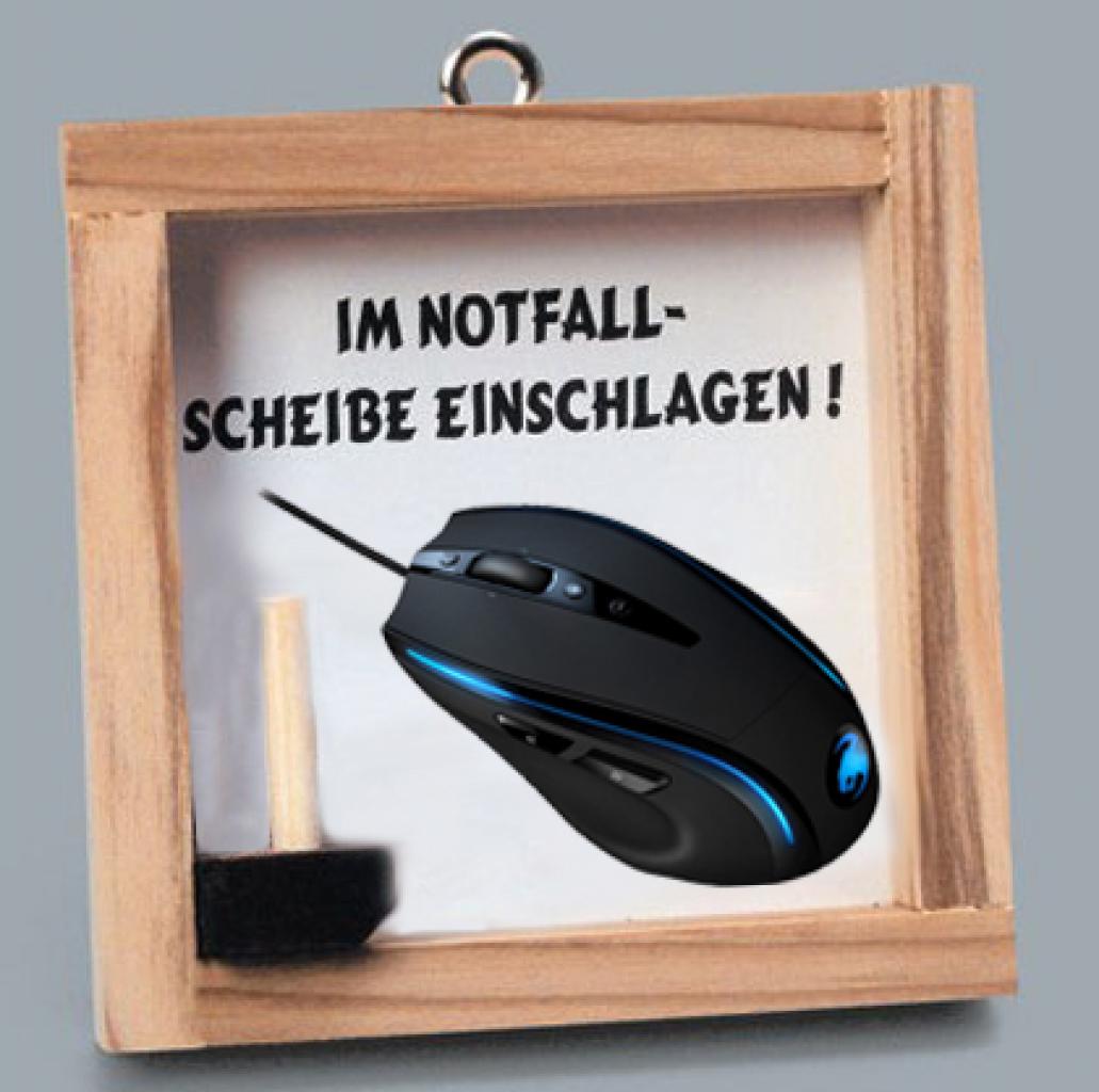 [30/01/2009] Userbilder Roccat Kone (23)