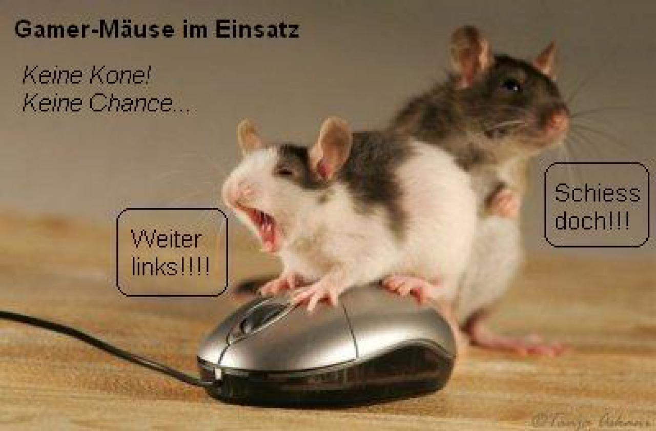 [12/01/2009] Lesertest Roccat Kone - Erste Bilder der Leser (23)