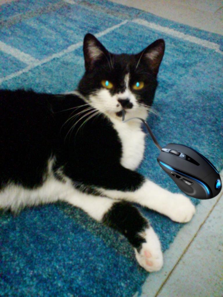 [30/01/2009] Userbilder Roccat Kone (27)