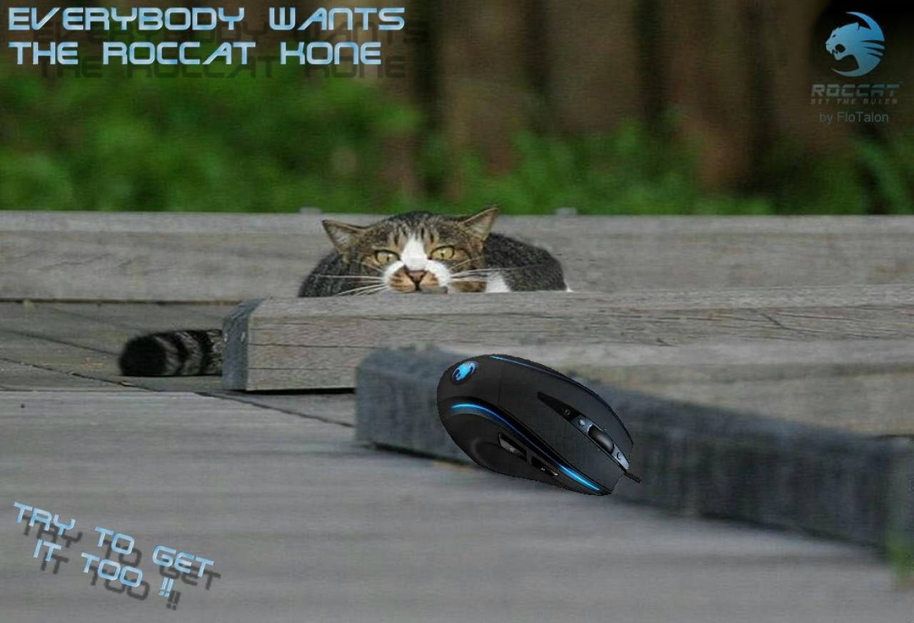 [30/01/2009] Userbilder Roccat Kone (30)