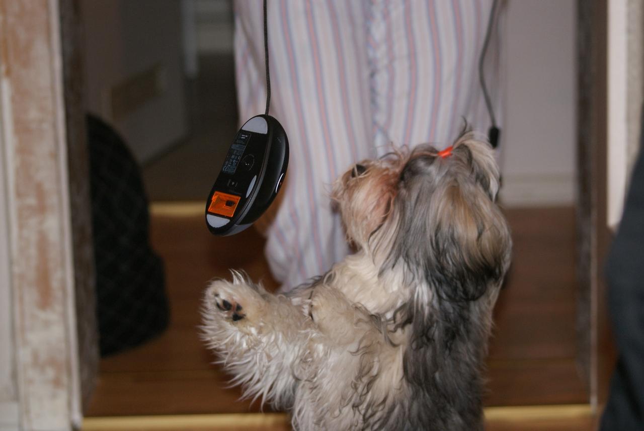 [12/01/2009] Lesertest Roccat Kone - Erste Bilder der Leser (30)