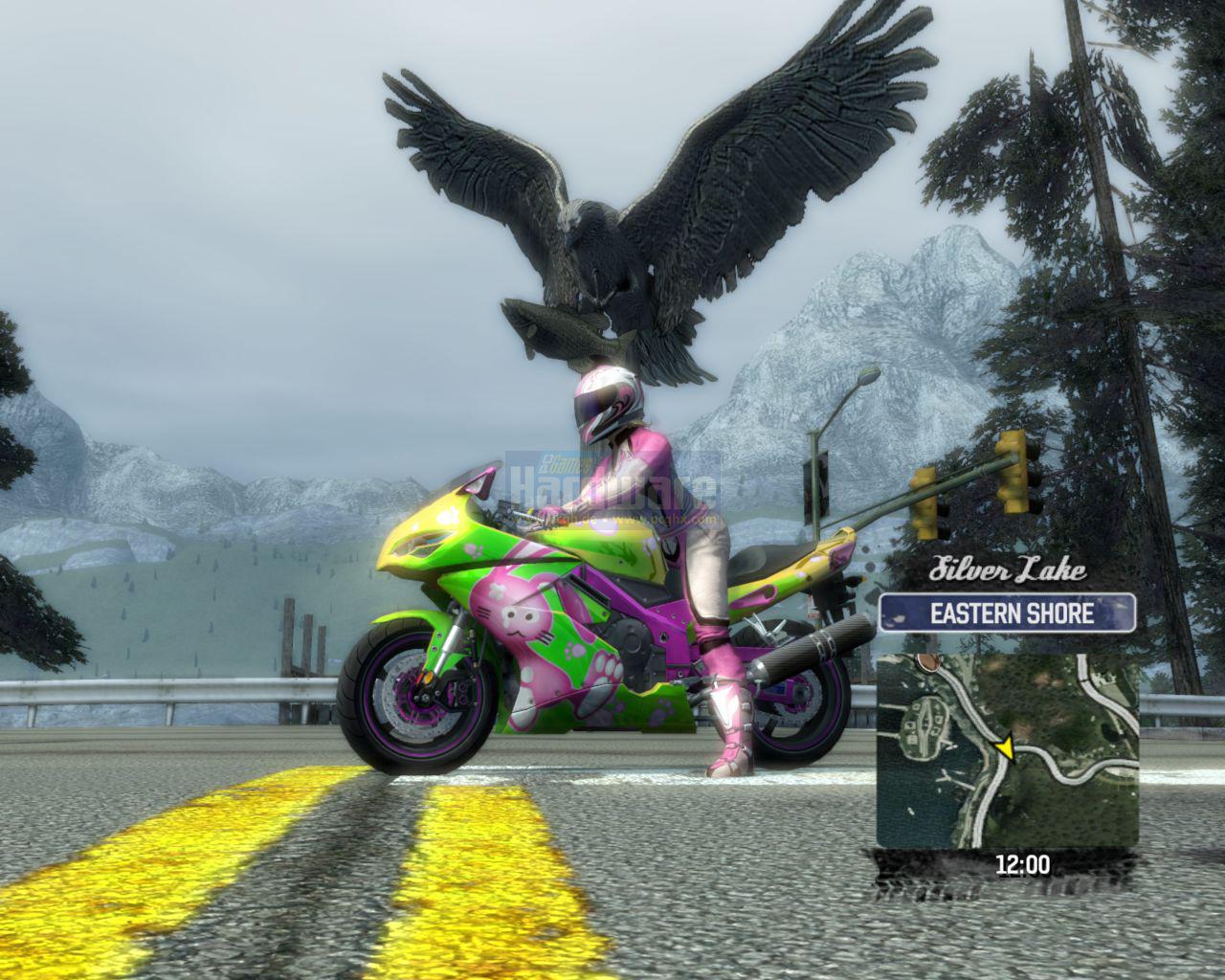 [06/02/2009] Burnout Paradise PC - Ultimate Box im Performance-Check. (3)