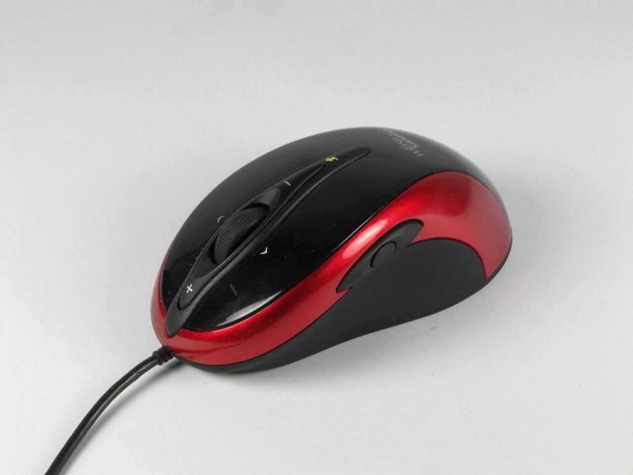 [26/02/2009] FSC Gamer Mouse GL5600