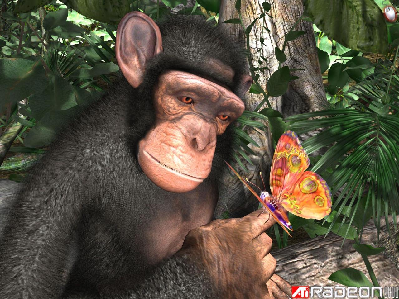 [22/02/2009] Ati-Techdemos: Radeon 9800: Chimp
