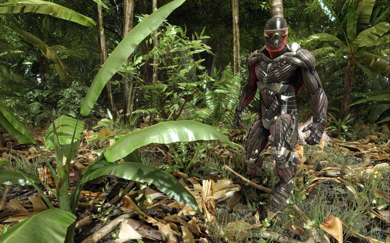 [28/02/2009] Crysis-Screenshot-Wettbewerb mit Nvidia und MSI