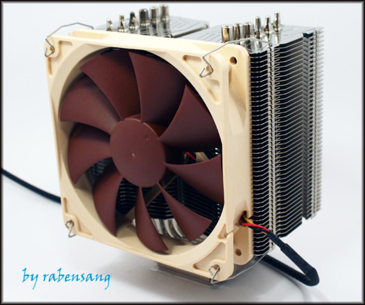 [07/04/2009] Prolimatech Megahalems (8)