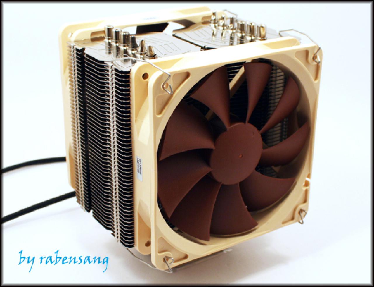 [07/04/2009] Prolimatech Megahalems (9)